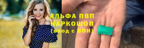 a pvp Абаза
