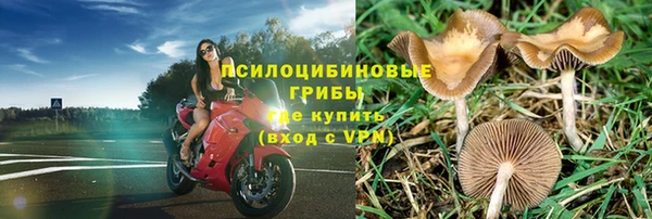 MESCALINE Пестово