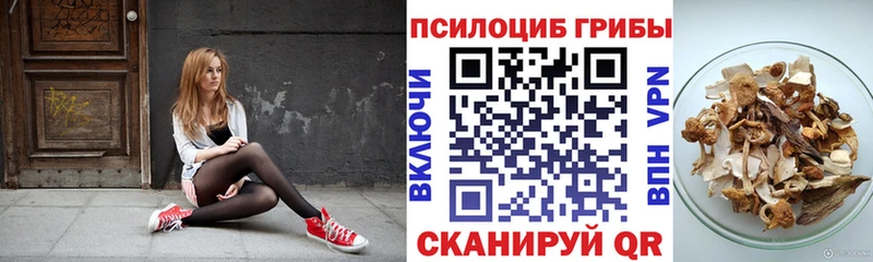Псилоцибиновые грибы Psilocybine cubensis  купить наркотики сайты  Фурманов 
