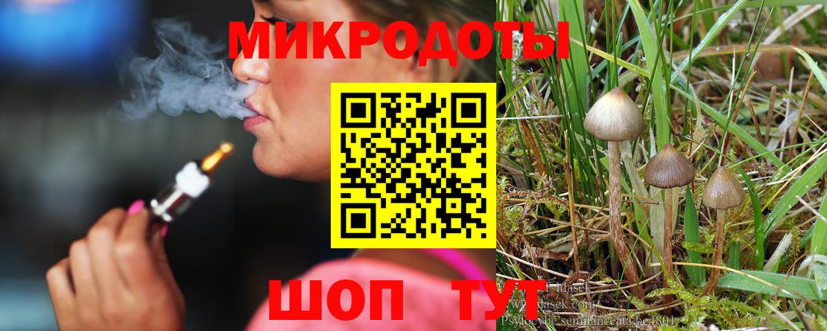 Псилоцибиновые грибы Psilocybe Фурманов