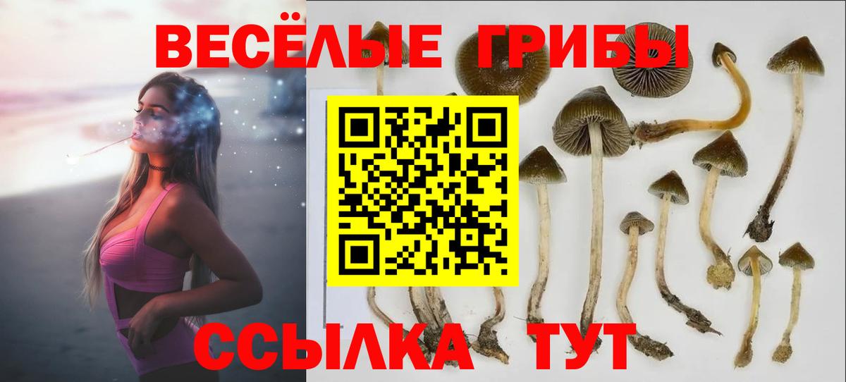 Фурманов  Псилоцибиновые грибы GOLDEN TEACHER  Вход с VPN 